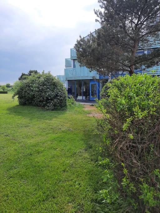 Erdgeschoss-Wohnung Nahe Am Meer Cadzand Exterior photo